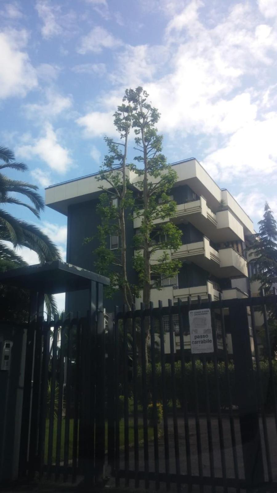 Casa Giordano Apartment Rome Bagian luar foto